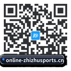 系统版 Android 二维码